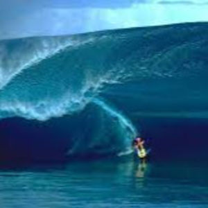 Meet your Posher, Lucy